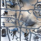 Warhammer Age of Sigmar - Stormcast Eternal Prosecutor wings and Lord-Relictor cloack on sprue